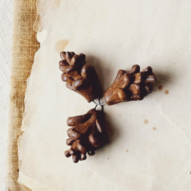 Pinecones 