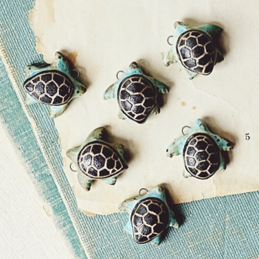 sea turtles 