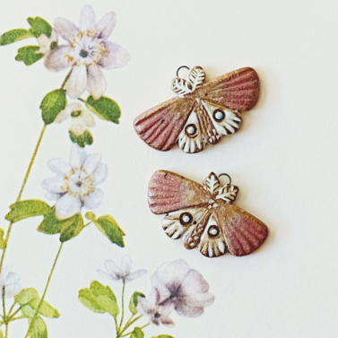 Moths 