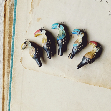 Toucans 