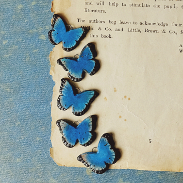 Blue Morpho butterflies 
