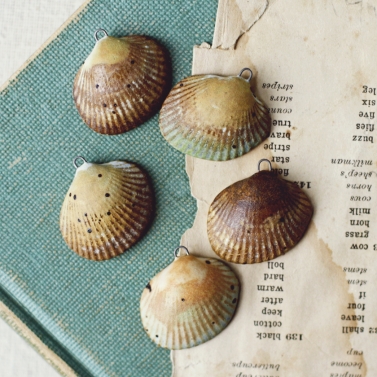 seashell charms 