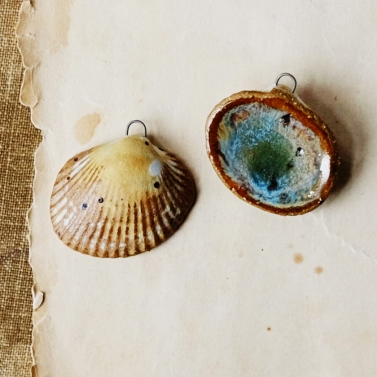 Seashell 