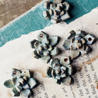 succulents