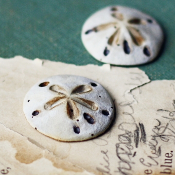 sand dollar pendants 